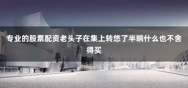 专业的股票配资老头子在集上转悠了半晌什么也不舍得买
